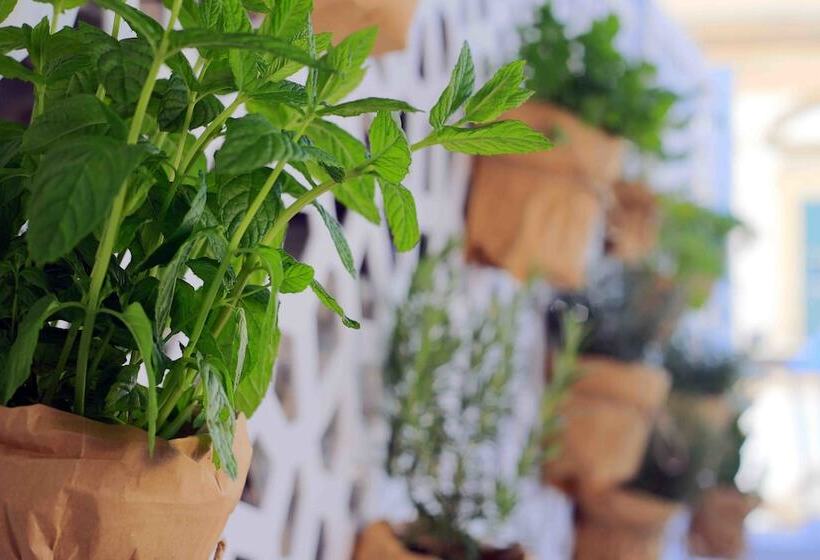 Fotos del hotel Jardin De France:  4