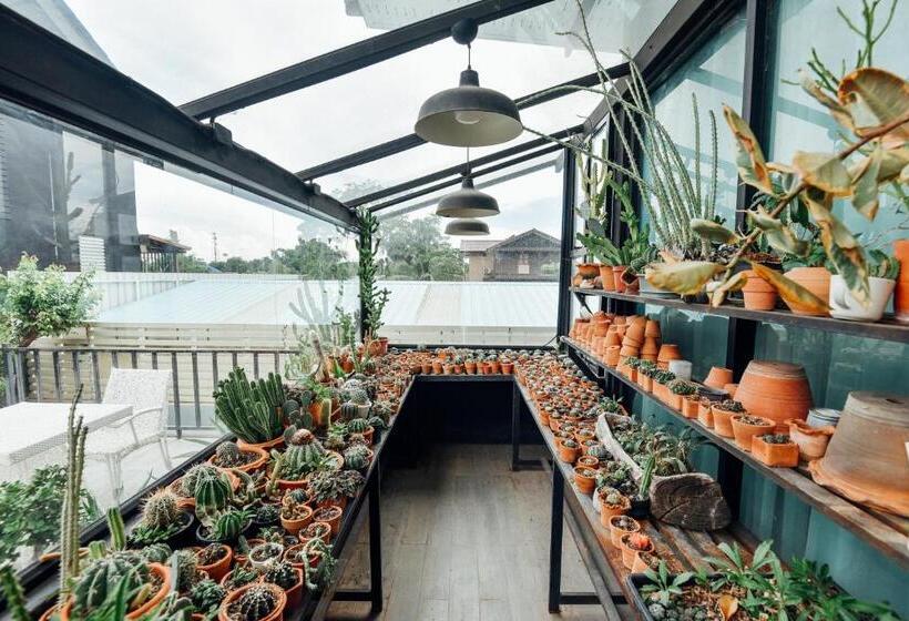 Fotos del hotel P.u. Inn Resort:  6