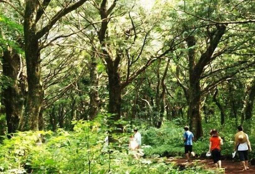 Fotos del hotel Tulip Jeju Seongsan , Formerly  Golden Tulip Jeju Seongsan:  7