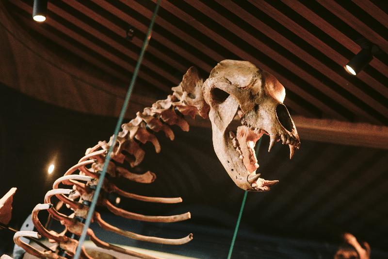 Fotos del hotel Macq 01:  4