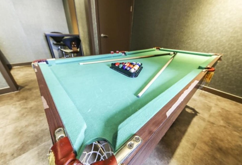 Fotos del hotel Noriter:  5