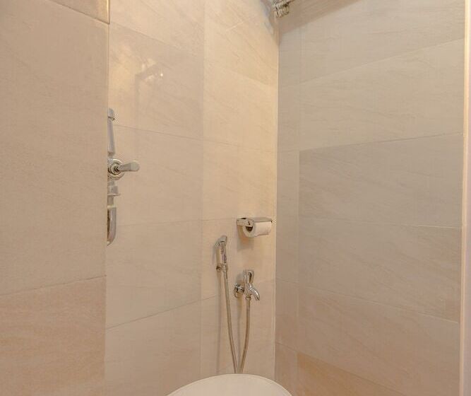 Fotos del hotel Mogul Palace:  6