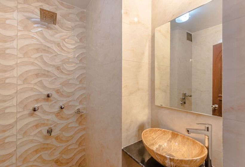 Fotos del hotel Mogul Palace:  14