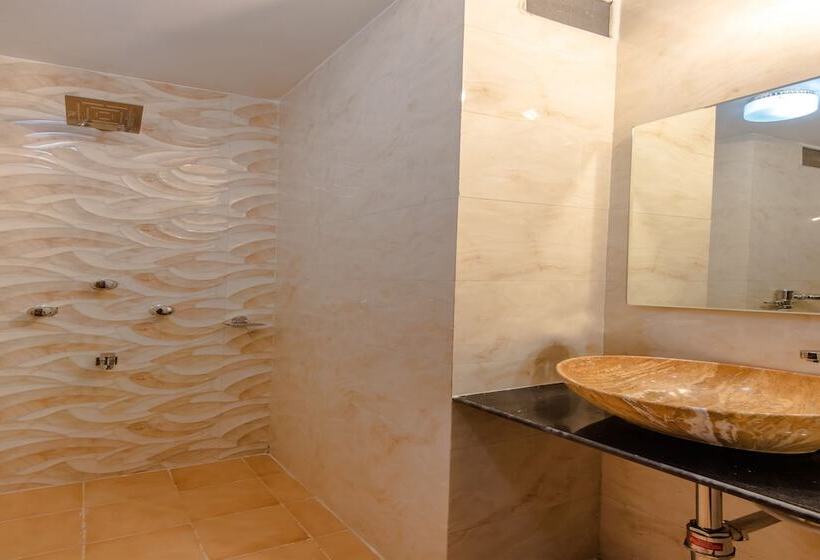 Fotos del hotel Mogul Palace:  3