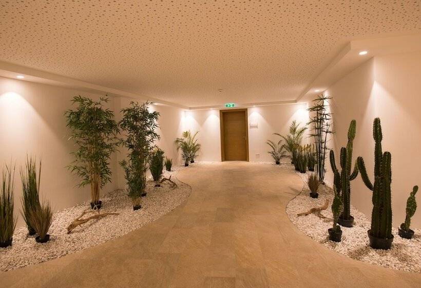 Fotos del hotel Dasmei:  2