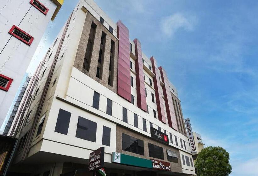 Fotos del hotel Lotus Grand:  7