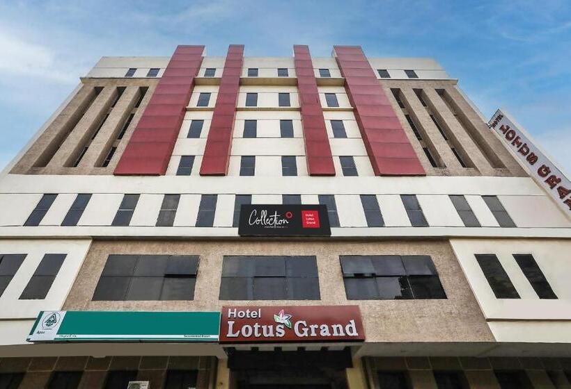 Fotos del hotel Lotus Grand:  12