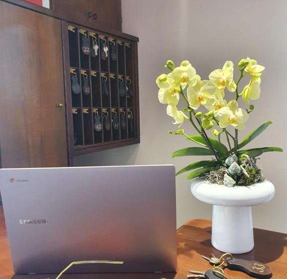 Fotos del hotel Villa Mirella:  4