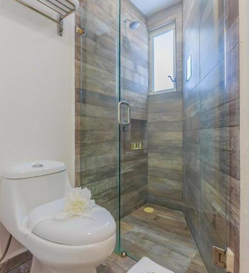 Fotos del hotel Paradise Suites:  7