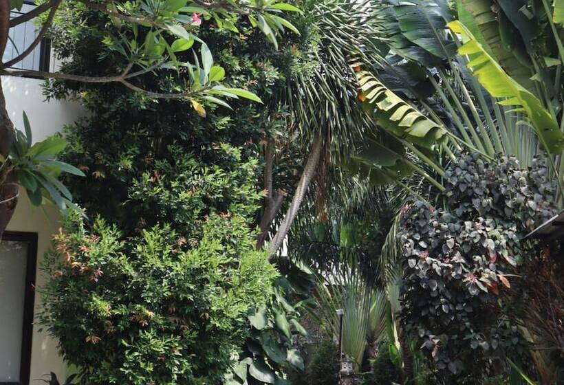 Fotos del hotel Green Bamboo Residence:  4