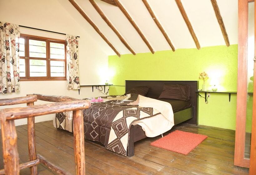 Fotos del hotel Casa Kiwi:  13