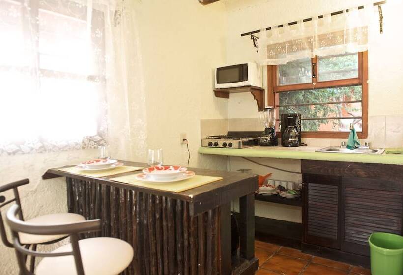 Fotos del hotel Casa Kiwi:  10