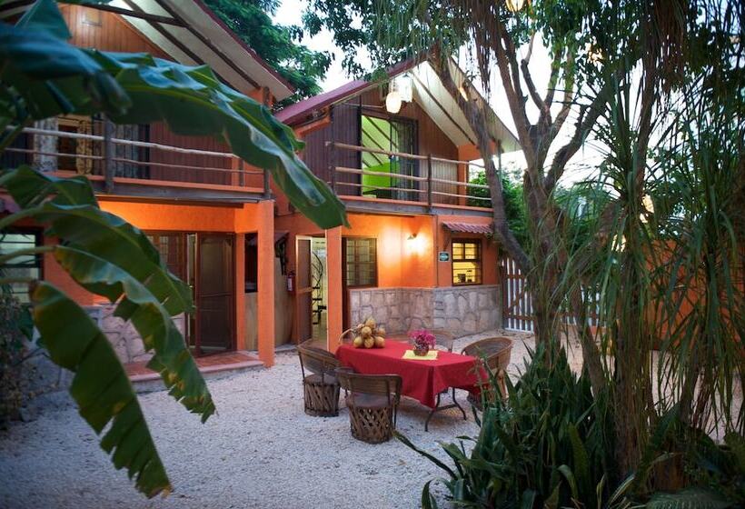 Fotos del hotel Casa Kiwi:  5