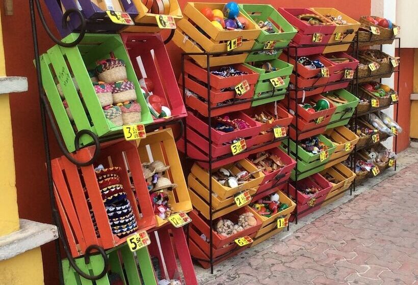 Fotos del hotel Casa Kiwi:  11