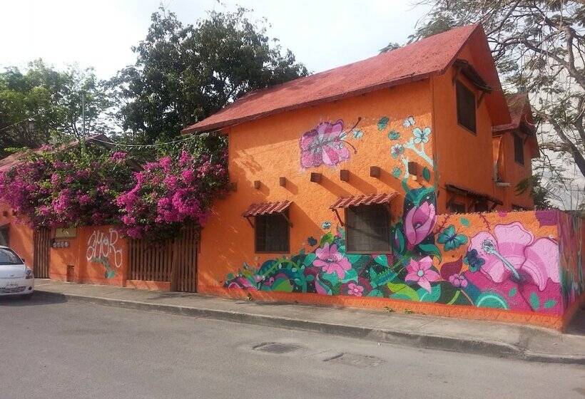 Fotos del hotel Casa Kiwi:  17