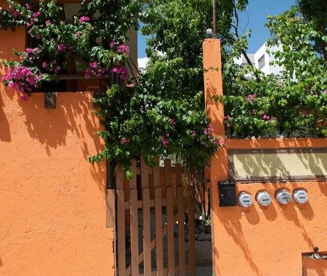 Fotos del hotel Casa Kiwi:  16