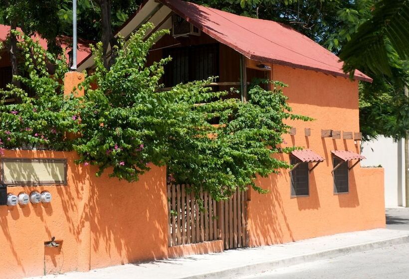 Fotos del hotel Casa Kiwi:  8