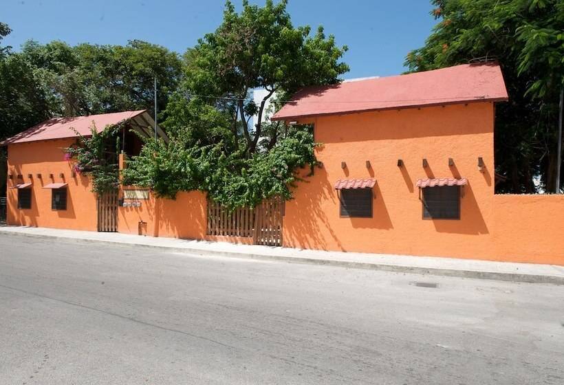 Fotos del hotel Casa Kiwi:  18