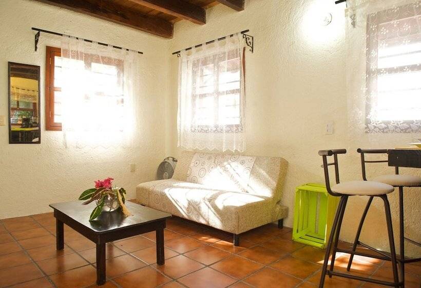 Fotos del hotel Casa Kiwi:  9