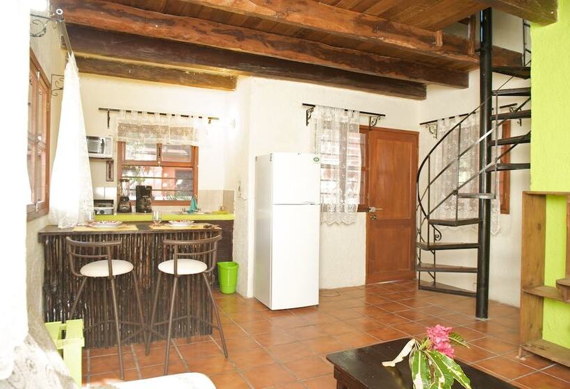 Fotos del hotel Casa Kiwi:  6