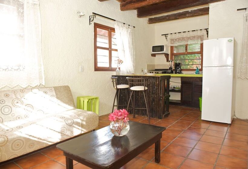 Fotos del hotel Casa Kiwi:  15