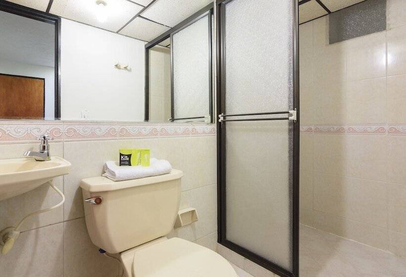 Fotos del hotel Ayenda 1226 Balcones Del Estadio:  7