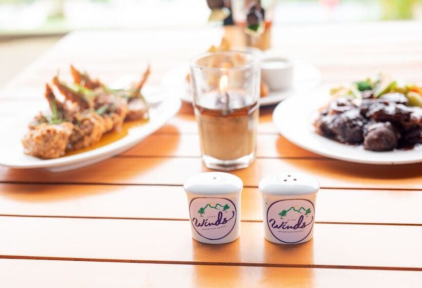 Fotos del hotel Ultra Winds Mountain Resort:  14