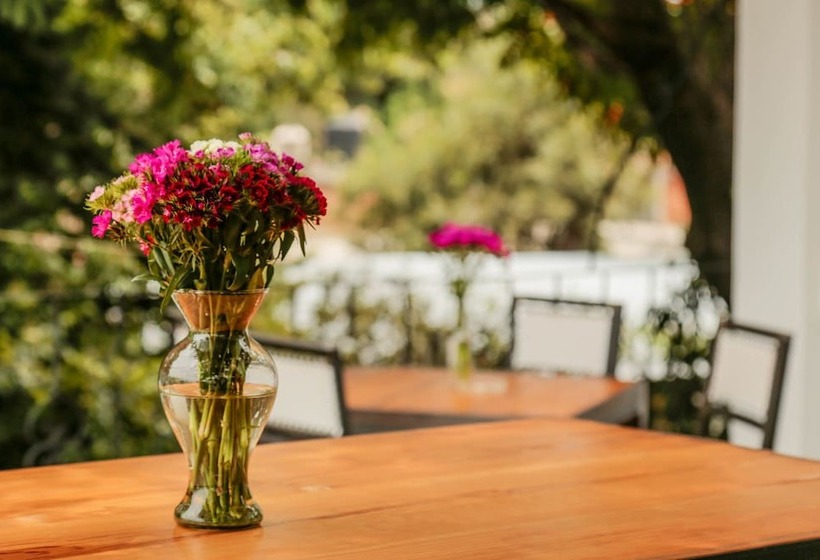 Fotos del hotel Agrado Guest House:  5