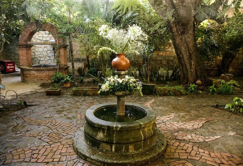 Fotos del hotel Agrado Guest House:  22