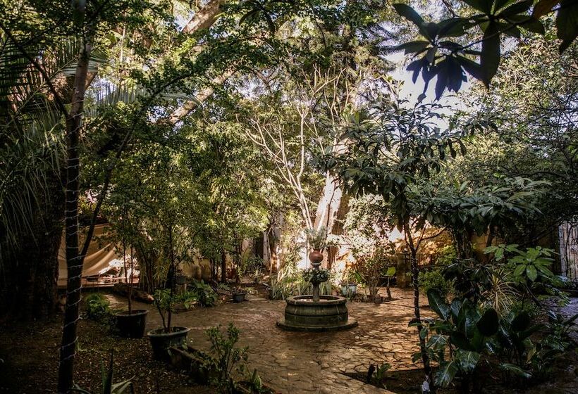 Fotos del hotel Agrado Guest House:  15