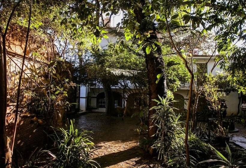 Fotos del hotel Agrado Guest House:  24