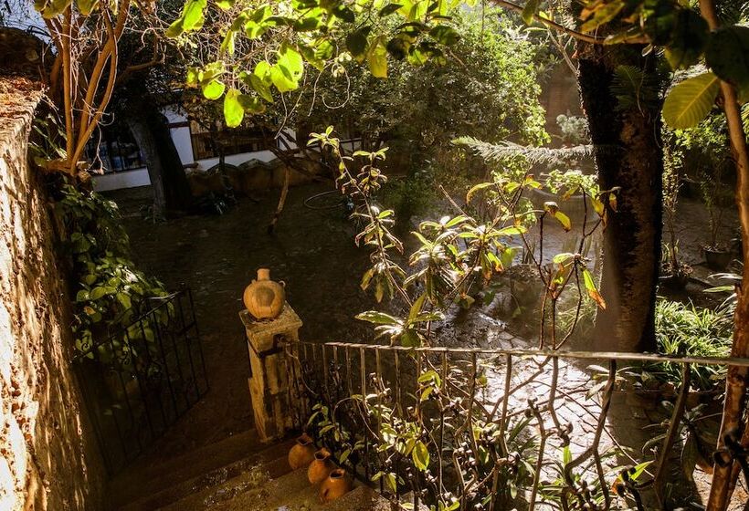 Fotos del hotel Agrado Guest House:  25