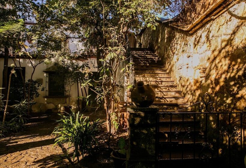 Fotos del hotel Agrado Guest House:  23