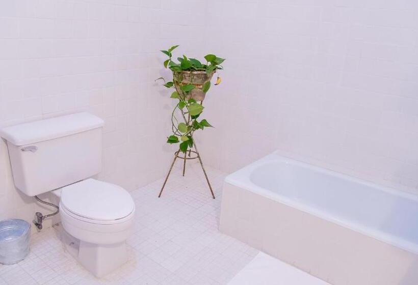 Fotos del hotel Agrado Guest House:  6