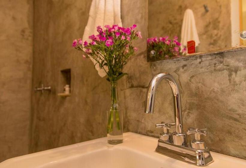 Fotos del hotel Agrado Guest House:  11