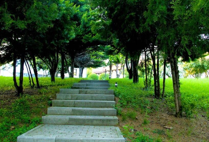 Fotos del hotel Sheki Olimpiya Hotel & Resort:  23