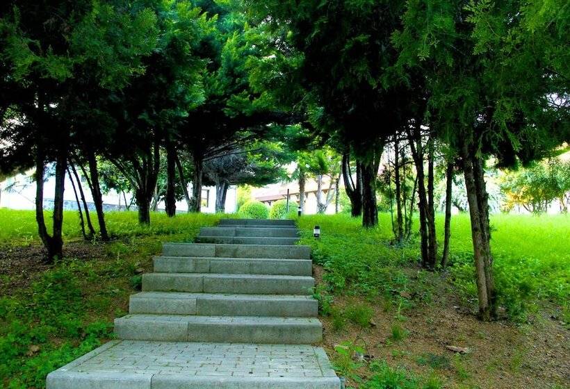 Fotos del hotel Sheki Olimpiya Hotel & Resort:  15