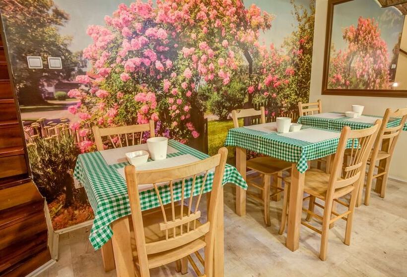 Fotos del hotel Villa Skadarlija:  3