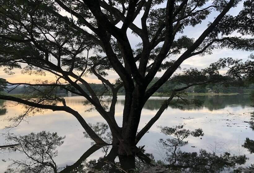 Fotos del hotel Rivendell:  15