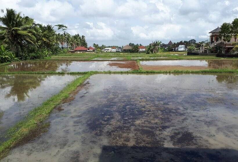 Fotos del hotel Villa Kirani Ubud:  7