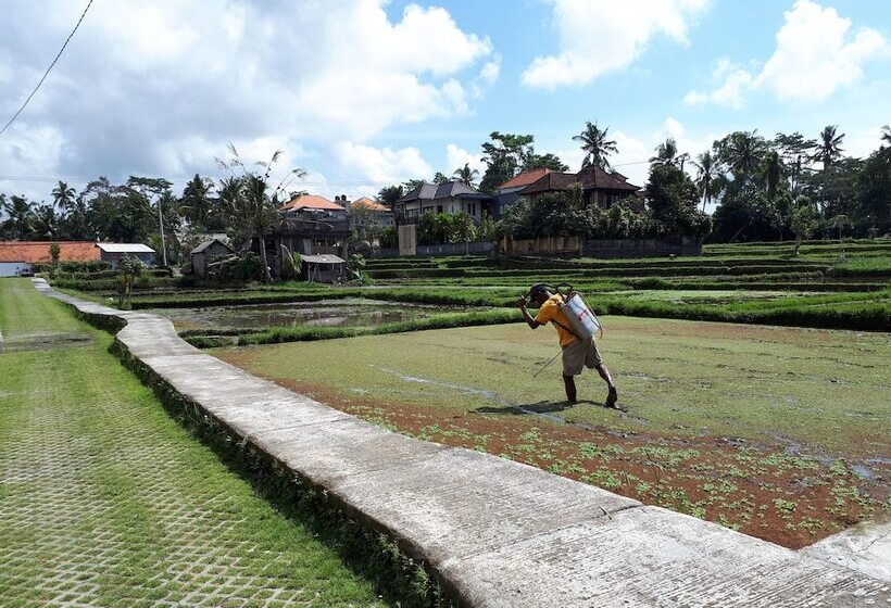 Fotos del hotel Villa Kirani Ubud:  24