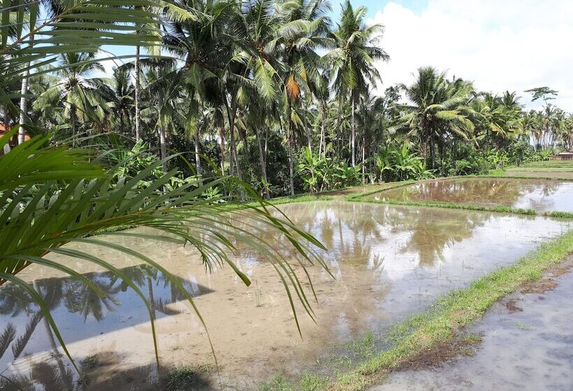 Fotos del hotel Villa Kirani Ubud:  22
