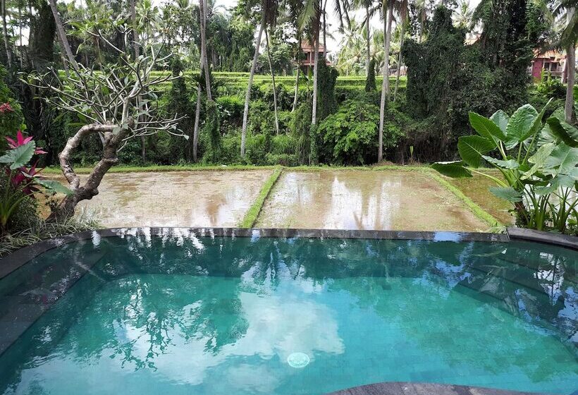 Fotos del hotel Villa Kirani Ubud:  8