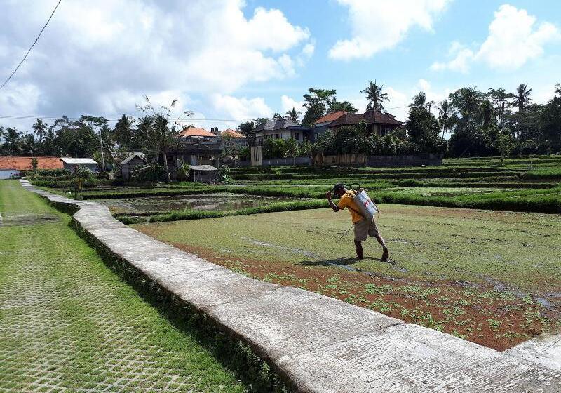 Fotos del hotel Villa Kirani Ubud:  11