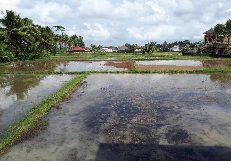 Fotos del hotel Villa Kirani Ubud:  15