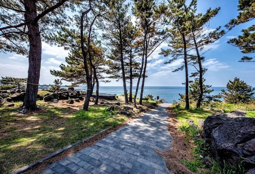 Fotos del hotel Dyne Oceano:  15