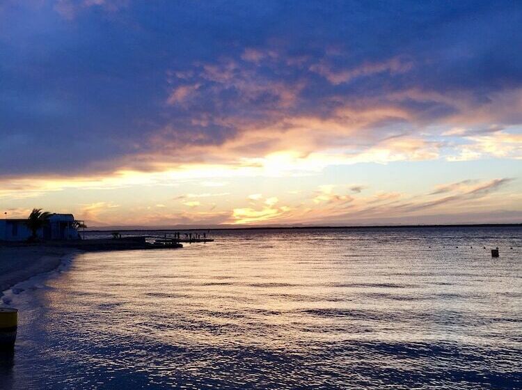 Fotos del hotel Marea La Paz:  8