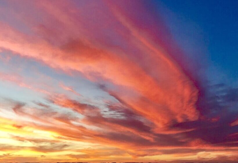 Fotos del hotel Marea La Paz:  15