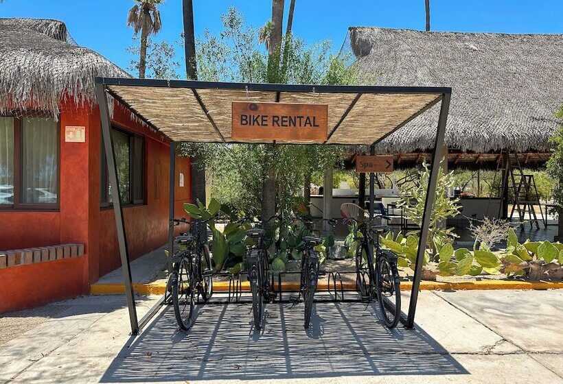 Fotos del hotel Marea La Paz:  18