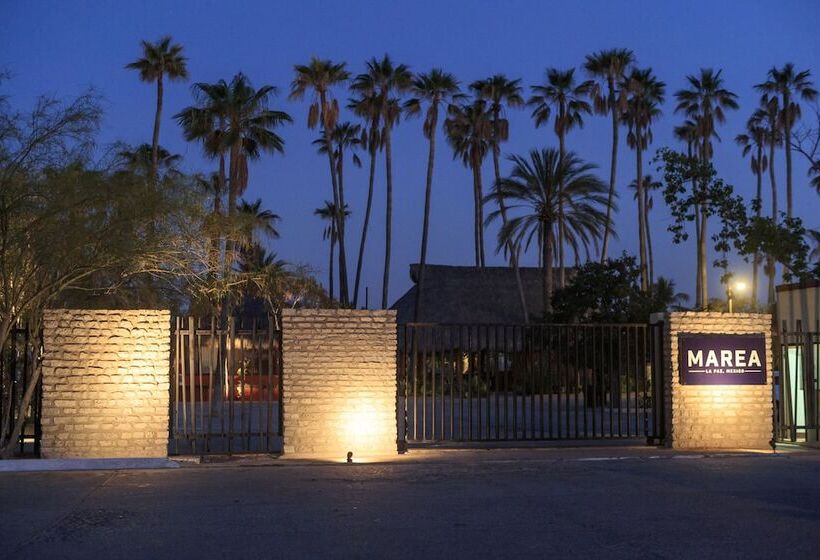 Fotos del hotel Marea La Paz:  20